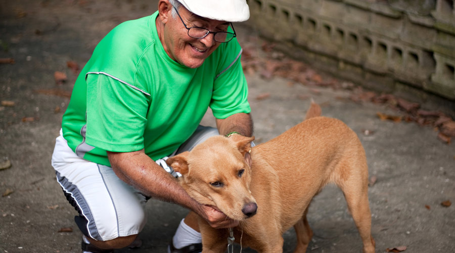 Can I give human joint supplements to a dog?