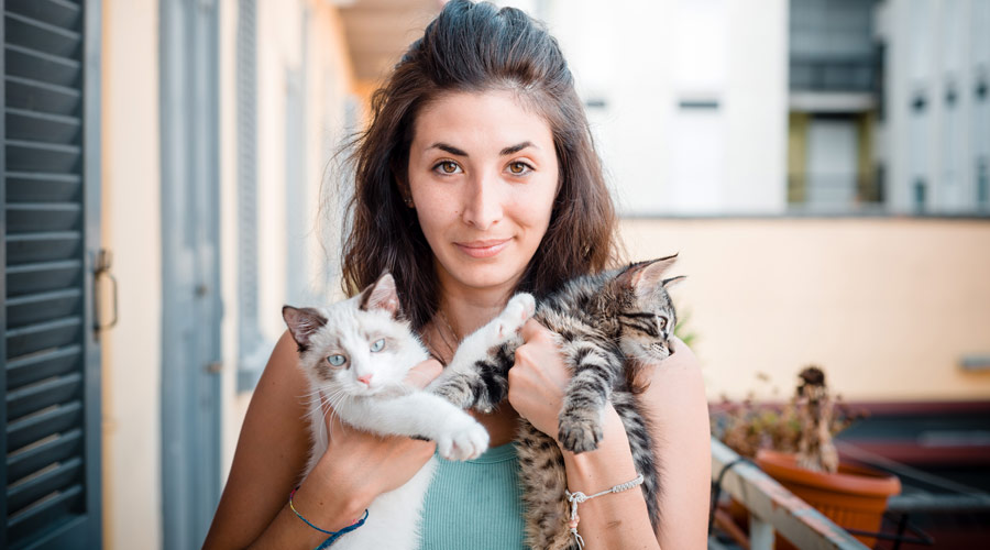 At what age should I give my cat joint supplements?