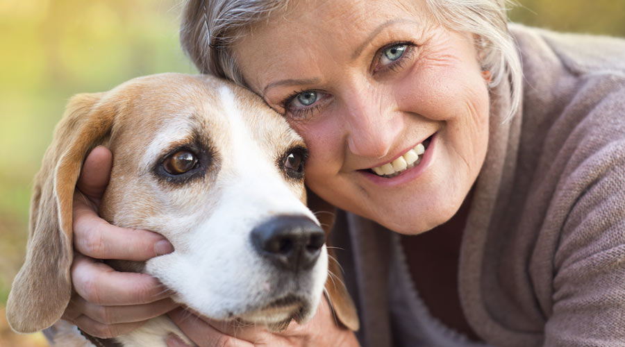 What anti-inflammatory can you give a dog?